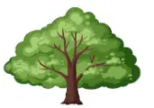 Ecofest